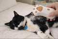Gentle Steam Pet Grooming Brush - Removes Loose Fur Fast